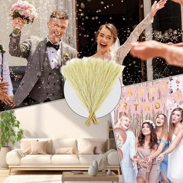 Künstliches Pampasgras, 30 Stück, natürliches getrocknetes Pampasgras für Vase, Pampasgraspflanze für Blumenstrauß, Phragmiten, Hochzeitsdekoration