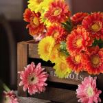 30 hoofden kunstmatige gerbera madeliefjes met dauwdruppel, 2 kleuren zijden madeliefjes die er echt uitzien met 3 vormige bladeren, nepbloemen die schitteren in het zonlicht voor