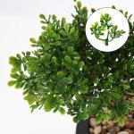 Kunstbonsai Natuurgetrouwe kunstplant, kunstboom, bonsai, ceder, grenen, podocarpus, plastic plant, kunstplant met keramische pot in zwart, voor badkamerdecoratie, desktop, kantoor