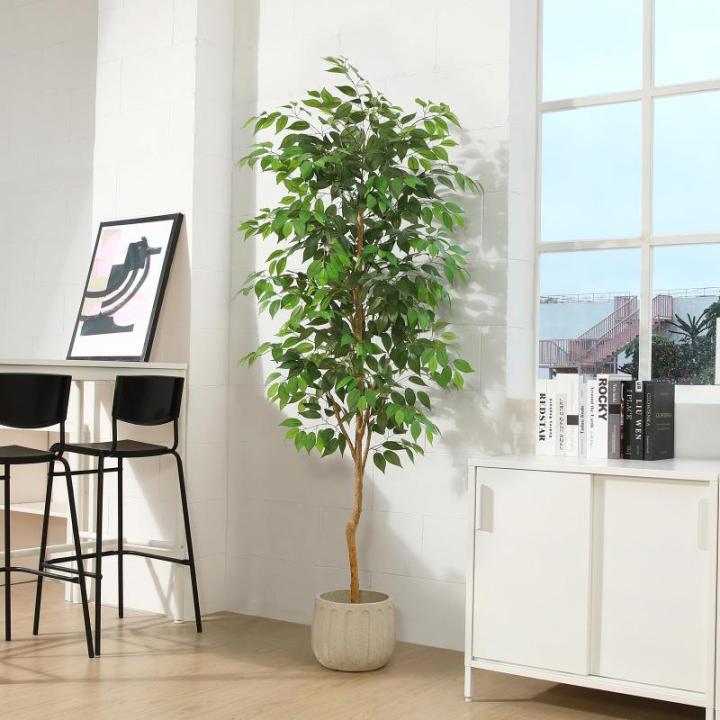 Ficus Benjamina , groot, 210 cm, met natuurhouten stam, kamerplant, kunstboom in pot, voor thuis, kantoor, balkon, decoratie (1 stuks)