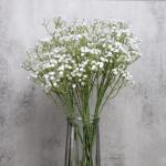 Gypsophila , 7 stuks, wit, Gypsophila, , kunstplanten, doe-het-zelf voor bruiloft, bruidsboeket, bloemstuk, hotel, woonkamer, feestdecoratie