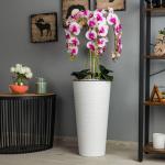 Künstliche Orchidee Kaskaden Blumenstrauß Creme und Rosa im Topf Weiß H 110 cm Heimbüro Dekoration, Kunstpflanze Orchidee, Kunstblume, Künstliche Orchidee im Topf