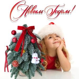Kleine groene kerstboom, simulatie tafelkerstboom, kleine kerstboom en doe-het-zelfdecoraties, 51 PE-tips, mini-kerstboom voor binnen en buiten, voor een feestelijke touch