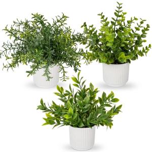 3er Set Kunstpflanzen im Topf, Künstliche Pflanzen Wie Echter Eukalyptus Mini Künstlicher Rosmarin Künstliche Farnpflanze für Dekoration, Wohnzimmer, Tischdekoration, Badezimme