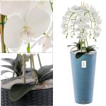 Künstliche Orchidee Kaskaden Blumenstrauß Weiß im Topf Blau H 110 cm Heimbüro Dekoration, Kunstpflanze Orchidee, Kunstblume, Künstliche Orchidee im Topf