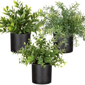 Set van 3 kleine planten in potten, , echte eucalyptus, mini-kunstrozemarijn, kunstmatige varenplant, sluierkruid, klein met potten, tafeldecoratie, thuis, balkon, kantoor decorati
