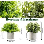 4 stuks , mini-kunstplant als echte eucalyptus, rozemarijn, vetplanten, voor tafeldecoratie keuken, huis, balkon, kantoor, bureau, binnendecoratie