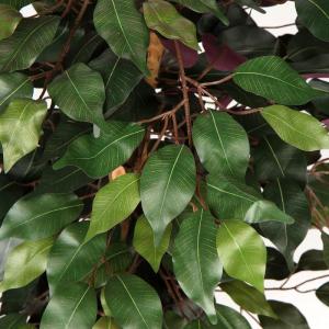 Benjamini Ficus, , grote kunstboom, kamerplant, decoratie met echt houten stam, voor kantoor, decoratie, slaapkamer, eetkamer, binnen, buiten, groen/rood, 91 cm
