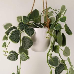 Ontwerp kunstmatige hangende planten