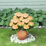 Kunst Blumen 24 Bündel Künstliche Blume Pfingstrose Gefälschte Pfingstrosen Blumensträuße für Hochzeit Zuhause Tischparty Fensterdekoration 0809