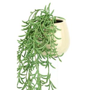 Kunstplant Sprengerie Hangplant Kunstbloem Kunstplant Groene Hangende Plant Klimop Busch Groene Planten Kamerplant Decoratieve Plant IJslandse Kunstmos Slinger