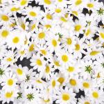 100 x Witte kunstmatige madeliefjes kunst madeliefje stof bloemen hoofden, feest bruiloft tafel verstrooit tafel confetti plakboek accessoire kaart maken decoratie
