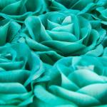 Rozenbox rond, 8 rozen, stevige bloemenbox, zwart, 10 jaar houdbaar, cadeau-idee, decoratieve bloemenbox, turquoise