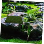 Simulierter Moosrasen Graswand Bonsai Dekoration kunstgras deko DIY-Dekoration Hintergrund Dekoration künstliche grüne Wand Kunstgrüne Wand Blumen Wandpaneel Perlenbaumwolle