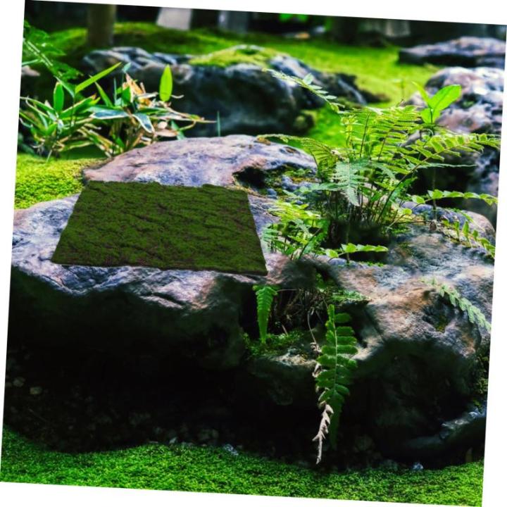 Simulierter Moosrasen Graswand Bonsai Dekoration kunstgras deko DIY-Dekoration Hintergrund Dekoration künstliche grüne Wand Kunstgrüne Wand Blumen Wandpaneel Perlenbaumwolle