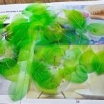50 stuks kunstbladeren, decoratie, kunstbladeren, slinger, knutselen, droge bladeren, gedroogde bladeren, gebruikt voor doe-het-zelf handwerk, scrapbook, kaarten maken (kleurverloo