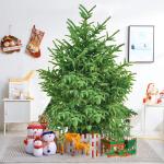 5 Fuß Echter Weihnachtsbaum, Hochwertige Fichte mit Scharnier, Inklusive Ständer mit Wurzeln, Umweltfreundlicher Weihnachtsbaum, Für Weihnachtsdekoration,B,300cm(9.8ft)