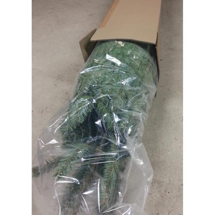 Echte Nordmann-kerstboom uit het Sauerland, 170-190cm, groen