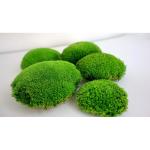 Hello Moss Geconserveerde mosballen, 5 stuks, mosdecoratie voor jou, geconserveerd bolmos voor je huis, maak een mosafbeelding, geschikt als mos voor terraria en bossen in glas