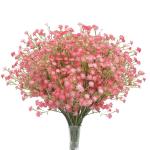 Gypsophila-, 10 stuks Gypsophila-planten, voor bruiloft, bruidsboeket, thuis, knutselen en decoratie