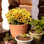 , kunstzonnebloemen, lange steel, zonnebloemen, kunstdecoratie voor buiten, thuis, verjaardag, feest, 96 stuks, geel 1301