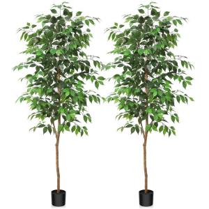 Ficus Benjamina , 180 cm, groot, met natuurhouten stam, kamerplant, kunstboom in pot, voor thuis, kantoor, balkon, decoratie (2 stuks)