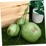 2 Bündel künstliche Kokosnuss falsches Obst lebensechte Gemüse-Obst-Girlande gefälschte Kokospalme Kokosnussschale Boho Künstliche Kokosnüsse Requisiten Fruchtspielzeug Plast