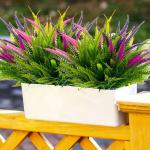 8 bundels , , uv-bestendige struiken, planten