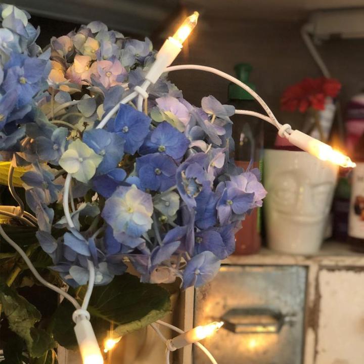 832051 Mini-lichtketting voor , 20 reservelampen, heldere warme verlichting, verlicht 2,85 m, witte lichtketting met 20 lampjes met stekker voor Kerstmis < 59 lumen