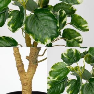 Kunstplant in zwarte pot, 68 cm hoog, kunstmatige Aralia Balfour boom, kunstmatige Aralia Polyscias Fabian plant, kunstboom, potplant voor thuis, kantoor, woonkamer, decoratie