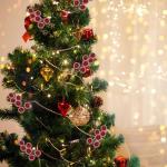 200 Stück Weihnachten Künstliche Holly Beeren Mini Weihnachten Gefrostete Beere Künstliche Früchte für Weihnachtsbaumschmuck Basteln Geschenken Weihnachtskranz Dekoration Heim