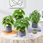 Kunstgroene plant in pot, kunstmatige vetplanten, planten in pot, 32 cm, grote groene kunstmatige plant, groen blad voor thuis, bureau, woonkamer, decoratie