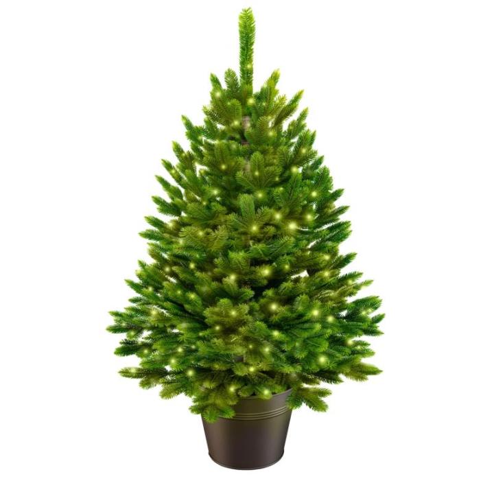 Kunstkerstboom van 80 cm in pot met led; kerstboom voor binnen en buiten, kunstboom voor kerstdecoratie, realistische look