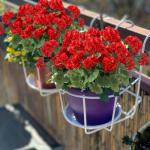 voor buiten, uv-bestendige , decoratie, struiken, planten, boeket, voor tuin, veranda, balkon, binnenplaats, raam, box, decoreren (geel, paars,
