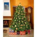 Altair Kunstkerstboom, 215 cm, klassiek groen, 1216 takken, 100% PE-punten, inclusief metalen standaard