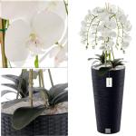 Künstliche Orchidee Kaskaden Blumenstrauß Weiß im Topf Anthrazit H 110 cm Heimbüro Dekoration, Kunstpflanze Orchidee, Kunstblume, Künstliche Orchidee im Topf