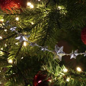 slinger met sterren - Kerstslinger - Sterrenslinger voor kerstdecoratie - Kerstdecoratie voor kerstboom - 500 cm (Set02 - zilver/sterren)
