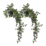 kunstplant hangplant met pot, set van 2, namaakplanten, realistische nepplanten, HxØ: 60 x 20 cm, groen/zwart