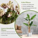 Bananenboom, kunstplant, kunstplant, banaan, 165 cm, grote kunstplant, bananenplant met 10 bladeren, kunstplant, plastic plant, decoratieve plant voor woonkamer, slaapkamer, kantoo