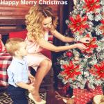 12 stuks kerstster glitter kerstster goud rood kunstbloemen decoratie, kerstster kunstbloemen met clips + voorbouwstukken, kerstbloemen voor Kerstmis, bruiloft, tuin, Nieuwjaar