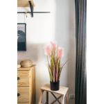 Kunstgras kunstgras, decoratief gras, hoog, 66 cm, kunstplant gras in pot, ziet eruit als echt, grasarrangement, , solitair gras, siergras, tafeldecoratie, roze