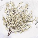 4 stuks kunstkersenbloesemtakken, witte perzikbloemen, 100 cm, kunstbloemen, bulk, lente, zijden bloemen, planten, bundel, lange stelen voor bruiloft, feest, tafel, vaas, decoratie