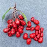 Künstliches Rotdatum, realistisches Jujube-Ornament, simuliertes getrocknetes Nussmodell für Fotografie, Bürodekorationen