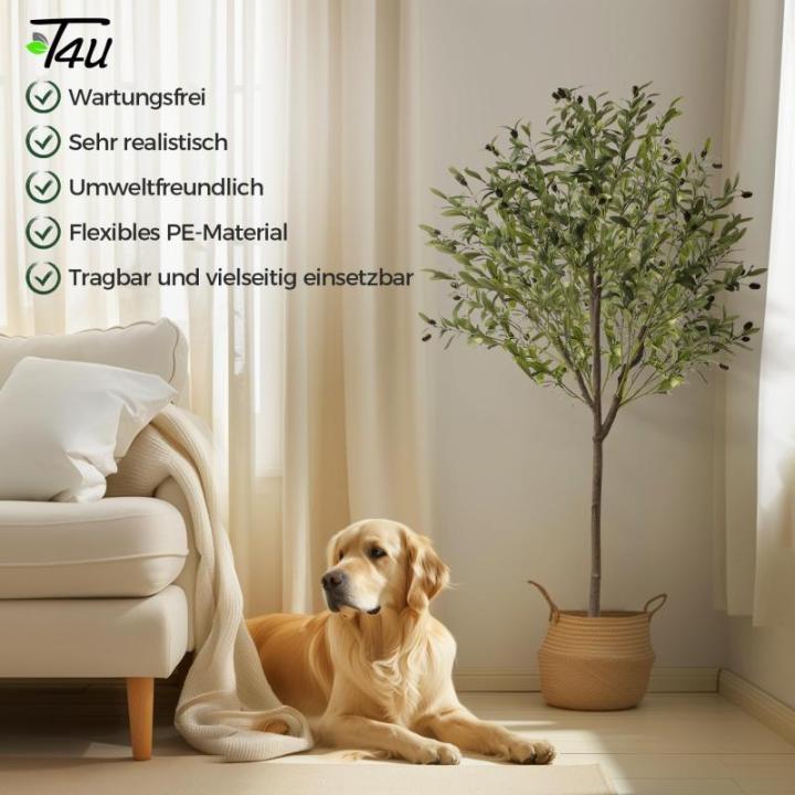 Olijfboom, kunstplant, 150 cm, grote zoals een echte kunstolijfboom, met pot, voor binnen, thuis, slaapkamer, kantoor, tuin, bruiloft, party, decoratie (1 stuks)
