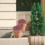 1403 , 16 stuks, , Gypsophila, , boeketten, voor bruiloft, bruid, feest, woondecoratie, roze