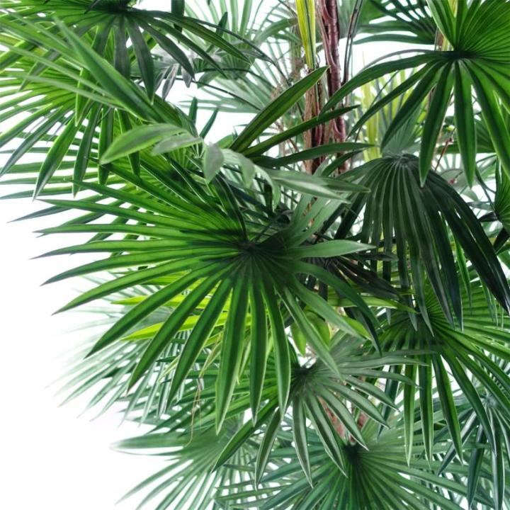 Realistische künstliche Palme und Tropische Bäume im Topf – fertig zum Ausstellen