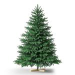 Kuro sagol Künstlicher Weihnachtsbaum Tannenbaum 180cm, Ø 95cm, 950 Spitzen, schwer entflammbar, realistischer Christbaum Tanne mit Ständer