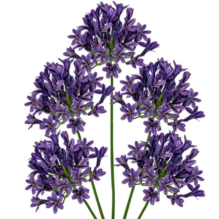 5 stuks kunstbloemen, sierlelie als echte kunstmatige agapanthus, bloemen, 75 cm lengte, lentebloemen, paars, decoratieve bloemen voor bloemstuk, thuis, resto, kantoor, decoratie