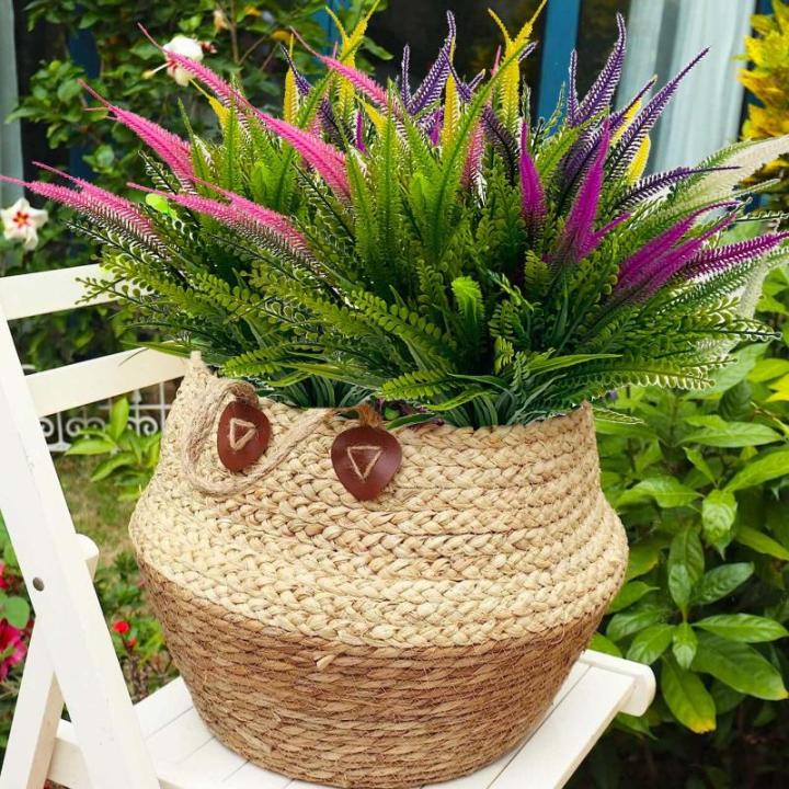 8 bundels , , uv-bestendige struiken, planten