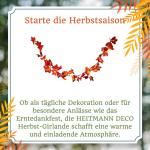 Brauns Heitmann Slinger